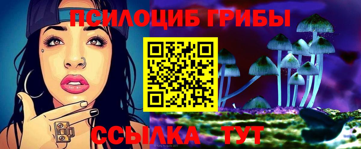 дарнет шоп  Галлюциногенные грибы Psilocybe  Вход с VPN  Галлюциногенные грибы GOLDEN TEACHER  Пугачёв 
